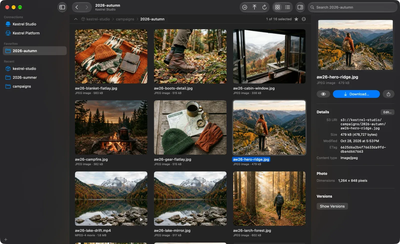 Grid view of a demo campaign folder with photo and video thumbnails and the Info panel for a selected photo.